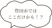 豊田市ではここだけかも！？